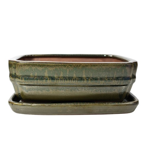 Green bonsai pot drip tray - bonsai,