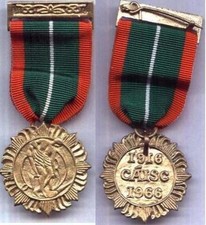 Irish Medal 1916 Rising Survivors Medal