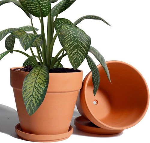 Clay plant pot with - clay,
