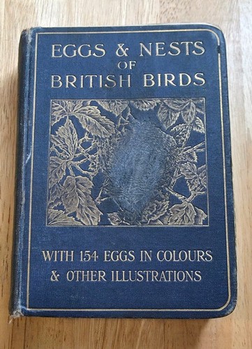 Eggs and nests british - and,