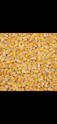 Premium grade whole - ,