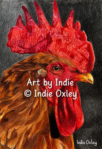 Chicken print coloured - chicken, print,