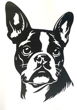 1x Boston Terrier Decal Vinyl