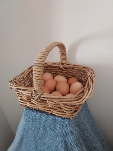 Rustic willow woven - rustic,
