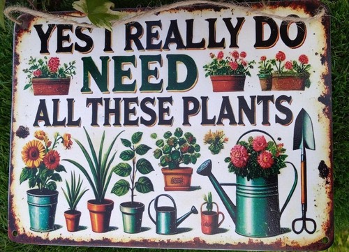 Yes really need - yes, i