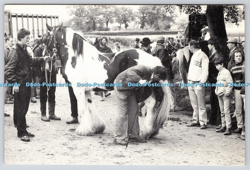 L359156 appleby fair the - fair,