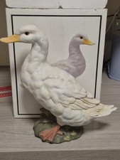 The Leonardo Collection