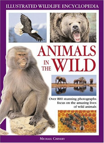Animals the wild - animals,