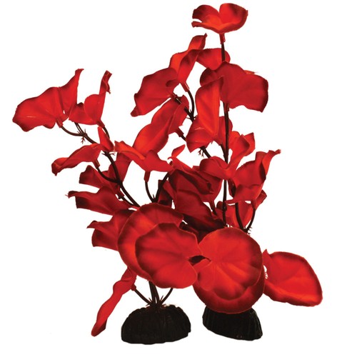 Red nymphaea lily silk - red,