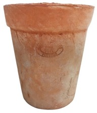 Terracotta Long Tom Plant