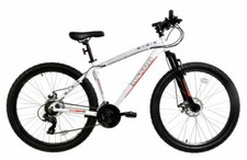 Basis El Toro Mountain Bike