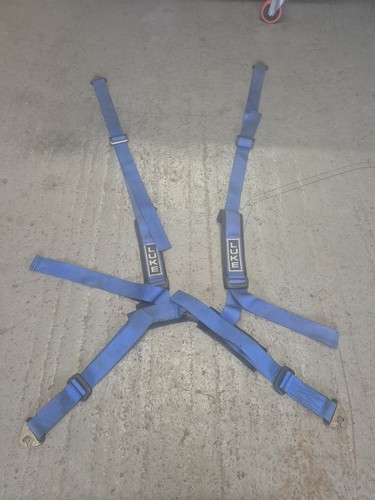 Luke point seat harness blue - point,