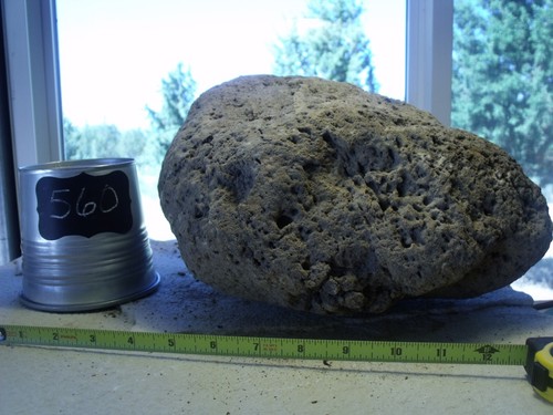 Xlarge pumice stone terrarium - pumice,