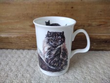 Roy Kirkham Cats Galore Bone China Mug VGC