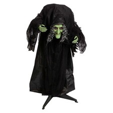 Halloween Animated Witch