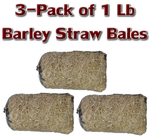 Pack barley straw - pack, 1lb