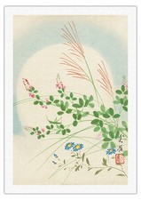 Spring Flowers and Grasses -