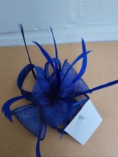 Blue Feather and Mesh