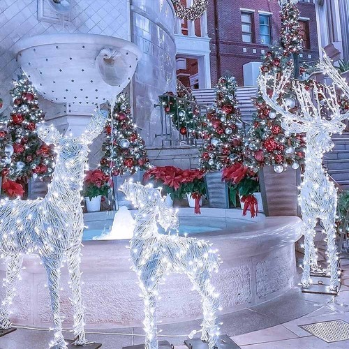 1000led fairy string lights - fairy,