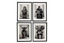 Lion, Gorilla, Elephant, Cow on Toilet Black Framed Canvas Picture Wall Print 