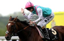 FRANKEL TOM QUEALLY PHOTO