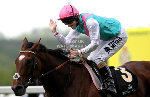 Frankel tom queally photo - frankel,