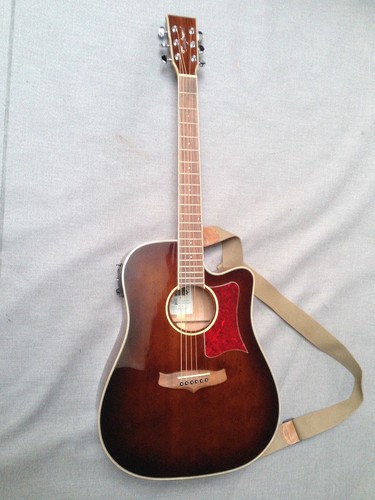Tanglewood winterleaf tw5 - winterleaf,