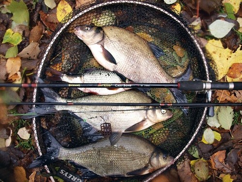 Browning hot rods 10ft 3pc - hot,