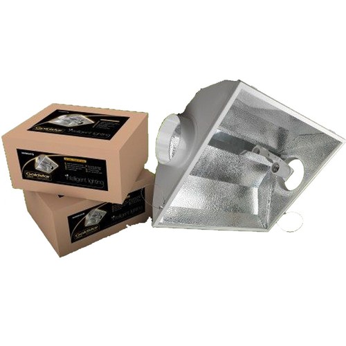 Maxibright goldstar 200mm - goldstar,