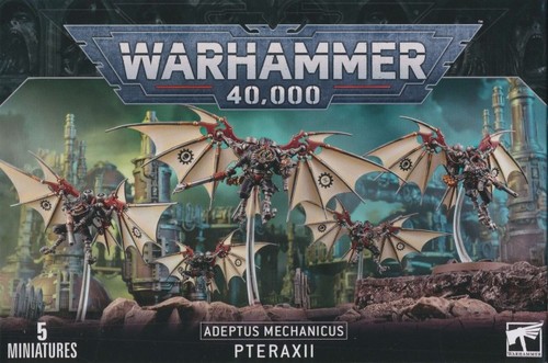 Pteraxii singles adeptus - singles,