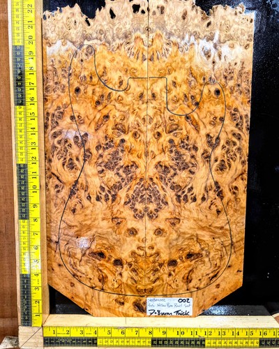 Australian yellow box - australian, guitar