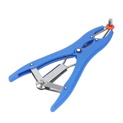 Castration bander goat banding - castration,