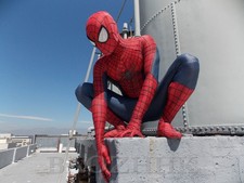 # The Amazing Spiderman