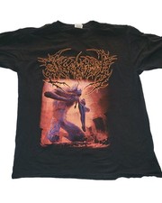 Disentomb The Decaying Light