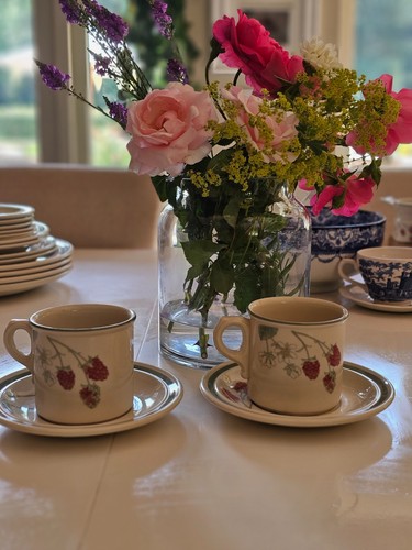 Wedgewood raspberry cane x - ,