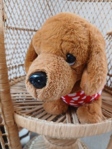 Preloved soft toy - , dog