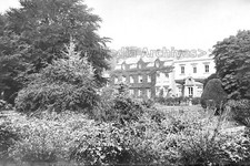 Tcc-78 Ivy Clad House