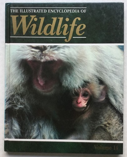 The illustrated encyclopedia - the,