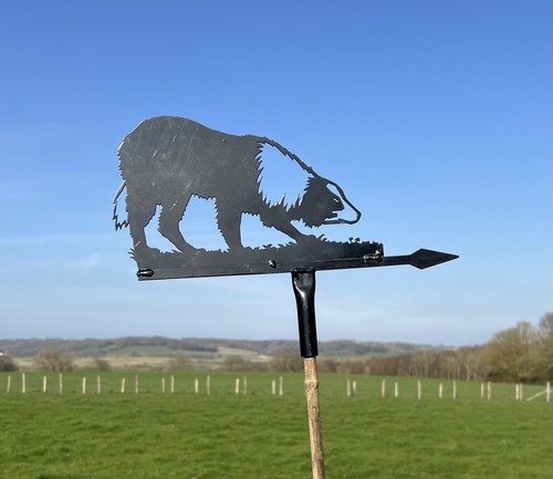 Stainless steel collie - collie, dog