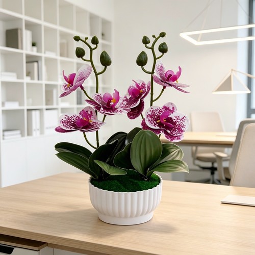 Imitation orchid plant with - plant,