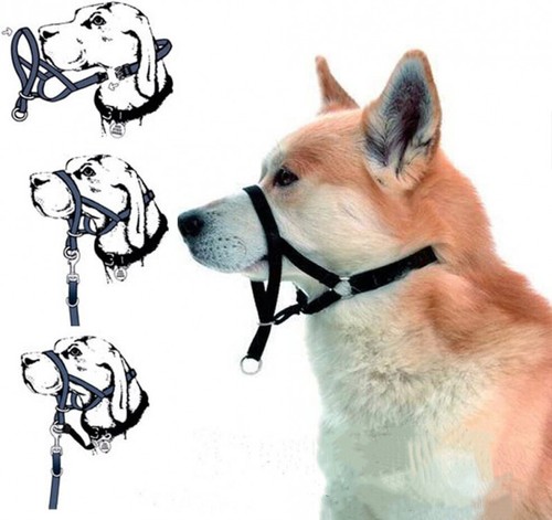 Dog pet head collar gentle - dog,