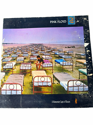 Pink floyd momentary - a,