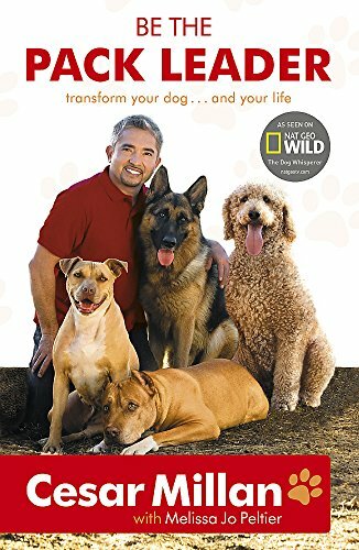 The pack leader use - be,