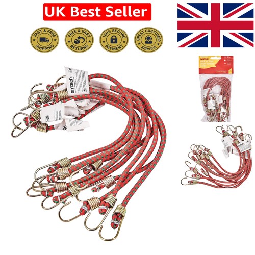 Inch mini bungee cords - bungee, 10