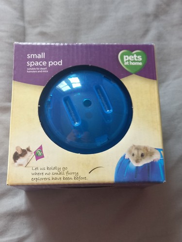 Hamster mouse exercise play - exercise,