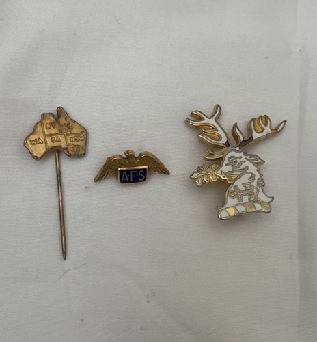 Enamel gilt pin badges - enamel,