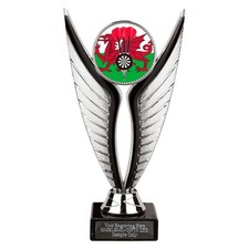 Wales Darts Award 195mm