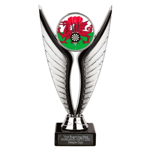 Wales darts award 195mm - darts,