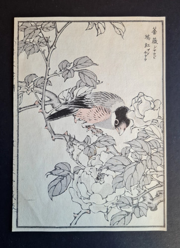Antique 1890 japanese - antique,