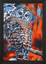Animals 6 Framed Wall Art